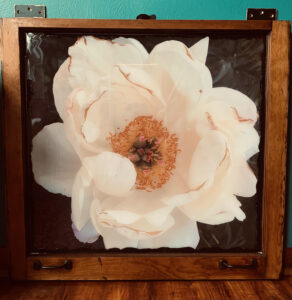 white flower photo in recyled window